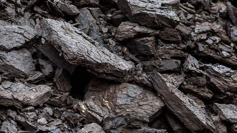 Pământuri rare, descoperire esenţială în tranziţia energetică - Foto: Profimedia Images