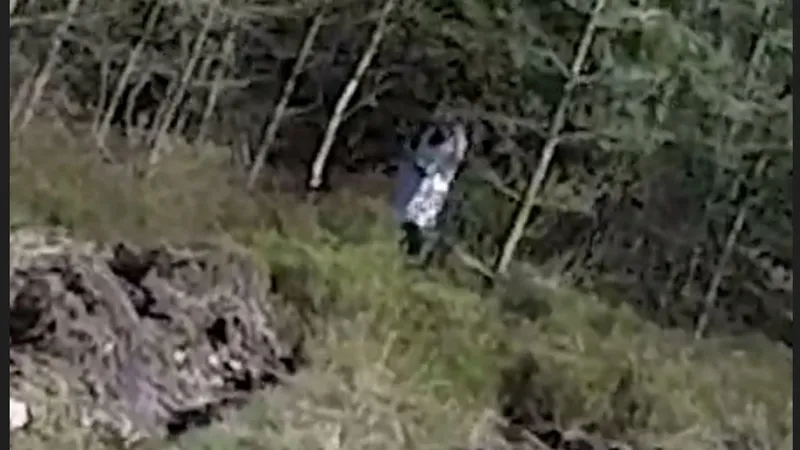 Fantoma "fetiței cu ochi negri" surprinsă de o dronă/Foto:the sun