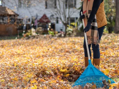 AMENDĂ de până la 50.000 lei pentru românii care stau la țară, dacă fac asta. Mare grijă! - Foto: Istock / imagine cu rol ilustrativ