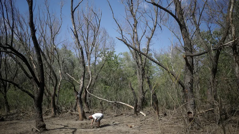 Alte fragmente de dronă rusescă au fost găsite în județul Tulcea - FOTO: Inquam Photos / Ovidiu Micsik