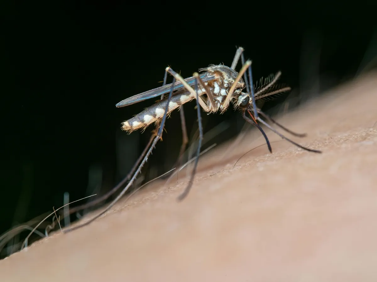 Alertă medicală într-o destinație de vacanță preferată și de români