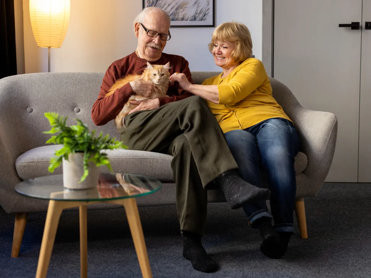 Pensionari la pensie și o pisică - Foto: Freepik