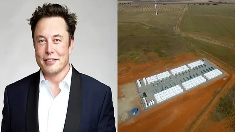 Trump e în război cu Beijingul pe taxe, Elon Musk face cea mai mare centrală pe baterii din China - Foto: colaj (Imagine cu rol ilustrativ)