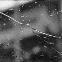 Foto: Pexels/Carla Schizzi