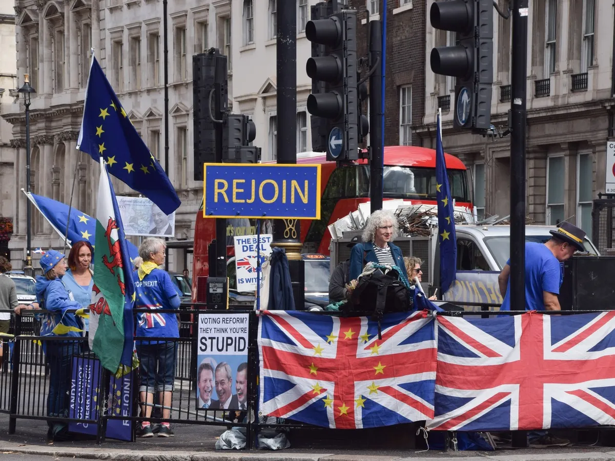 Manifestații la Londra pro UE - Foto: Profimedia Images