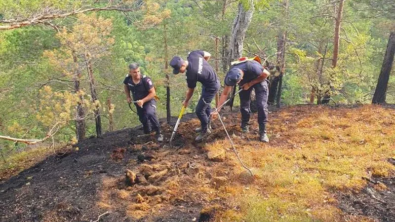 Misiune dificilă a pompierilor din Vâlcea. Pădurea de lângă Băile Olănești arde de trei zile - Foto: News.ro