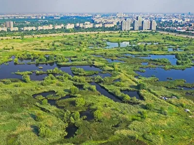 Primăria Capitalei a preluat în administrare Parcul Național Văcărești. / Foto: news.ro