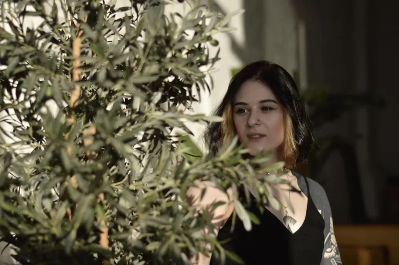 Măslin - Foto: Freepik (Imagine cu rol ilustrativ)