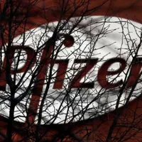 Pfizer își va concedia toți angajații nevaccinați din SUA/FOTO: Agerpres