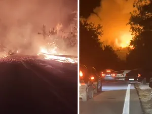 Insula favorită a românilor din Grecia, cuprinsă de flăcări. Incendiul a ajuns până la șosea - Foto: Profimedia images