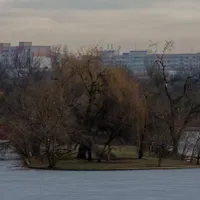 Nicuşor Dan: Amenda dată proprietarului zonei defrișate din Parcul IOR a fost contestată. Ne apărăm - Foto: Profimedia Images/ Imagine cu caracter ilustrativ