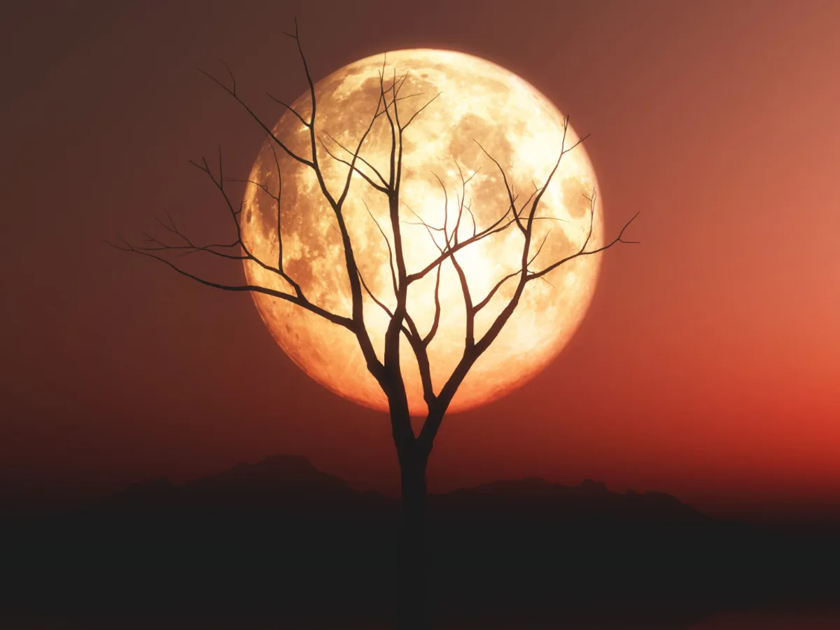 Luna pe cer - Foto: Freepik