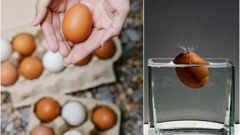 Cum să verifici dacă un ou e proaspăt sau vechi în 5 secunde. Ai nevoie doar de un pahar cu apă: FOTO - Pexels(imagine cu rol ilustrativ)
