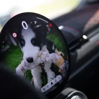 Povestea italiencei care a venit în România de 20 de ani pentru a salva animalele maltratate - Foto: Caravana MINI „Urme de Bucurie”