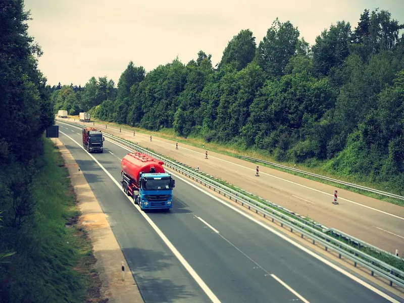 Accident bizar pe autostrada A1. Un TIR a accidentat mortal doi cai lăsați nesupravegheaţi pe șosea - FOTO: Pixabay