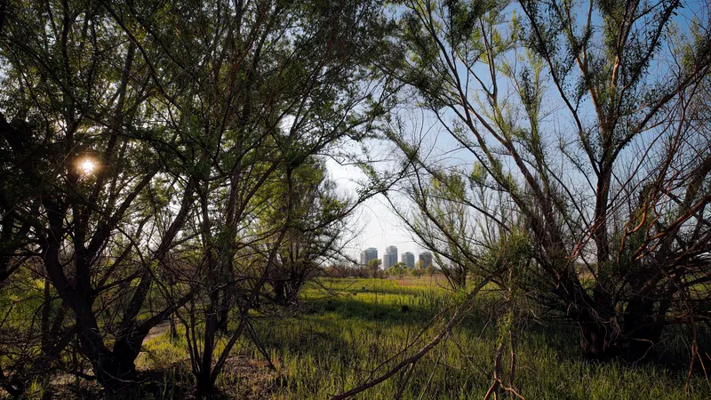 Nicuşor Dan: „Acţiunea de ecologizare a Parcului Văcăreşti vizează evacuarea deşeurilor istorice” - Foto: Profimedia Images/ Imagine cu caracter ilustrativ