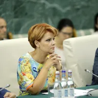 Olguța Vasilescu sare în apărarea lui Darius Vâlcov. Foto Inquam Photos/George Călin
