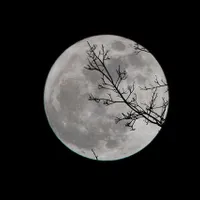 Pe Lună va fi construit un „Seif al Apocalipsei”/FOTO: unsplash.com
