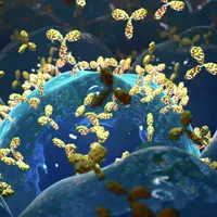 Anticorpii persistă până la 13 luni după infecție/Foto: Getty
