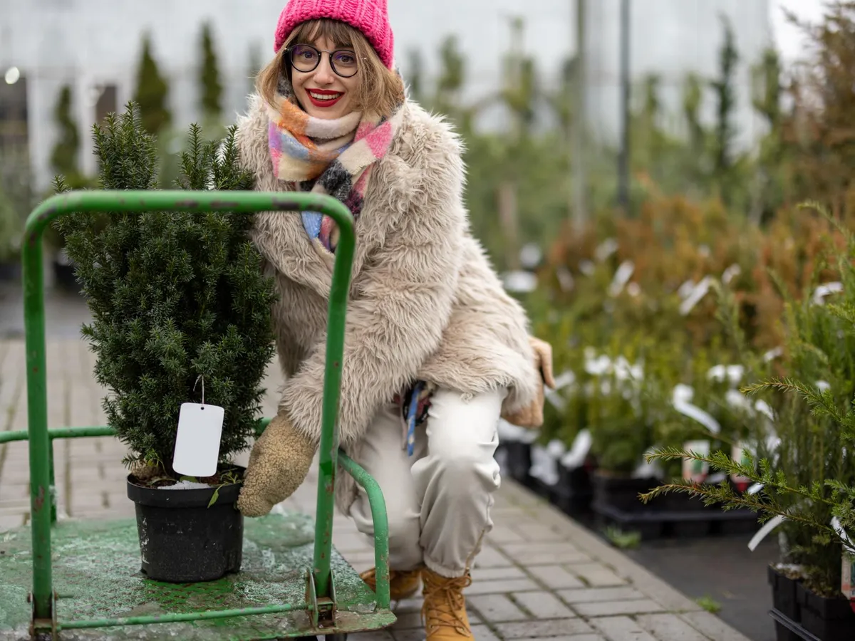 Femeie care a cumpărat un pom - Foto: Freepik (Imagine cu rol ilustrativ)