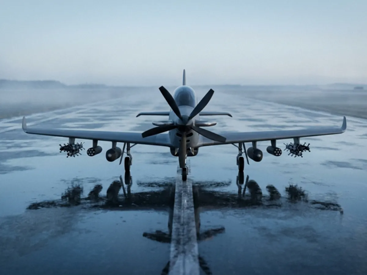 P-19