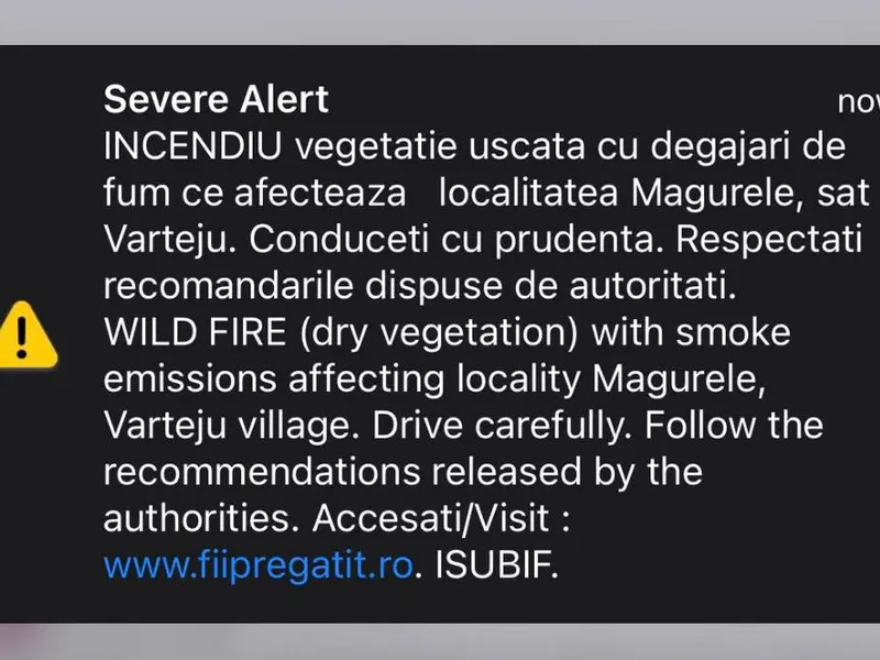 Incendiu puternic de vegetaţie în zona Măgurele - Bragadiru. Fumul se vede din București - Foto: Newsweek