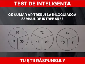 Test de inteligență Foto: Daniel Toșa