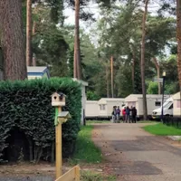 Două autocare cu căpșunari români au revoltat turiștii dintr-un camping din Belgia Foto: nieuwsblad.be