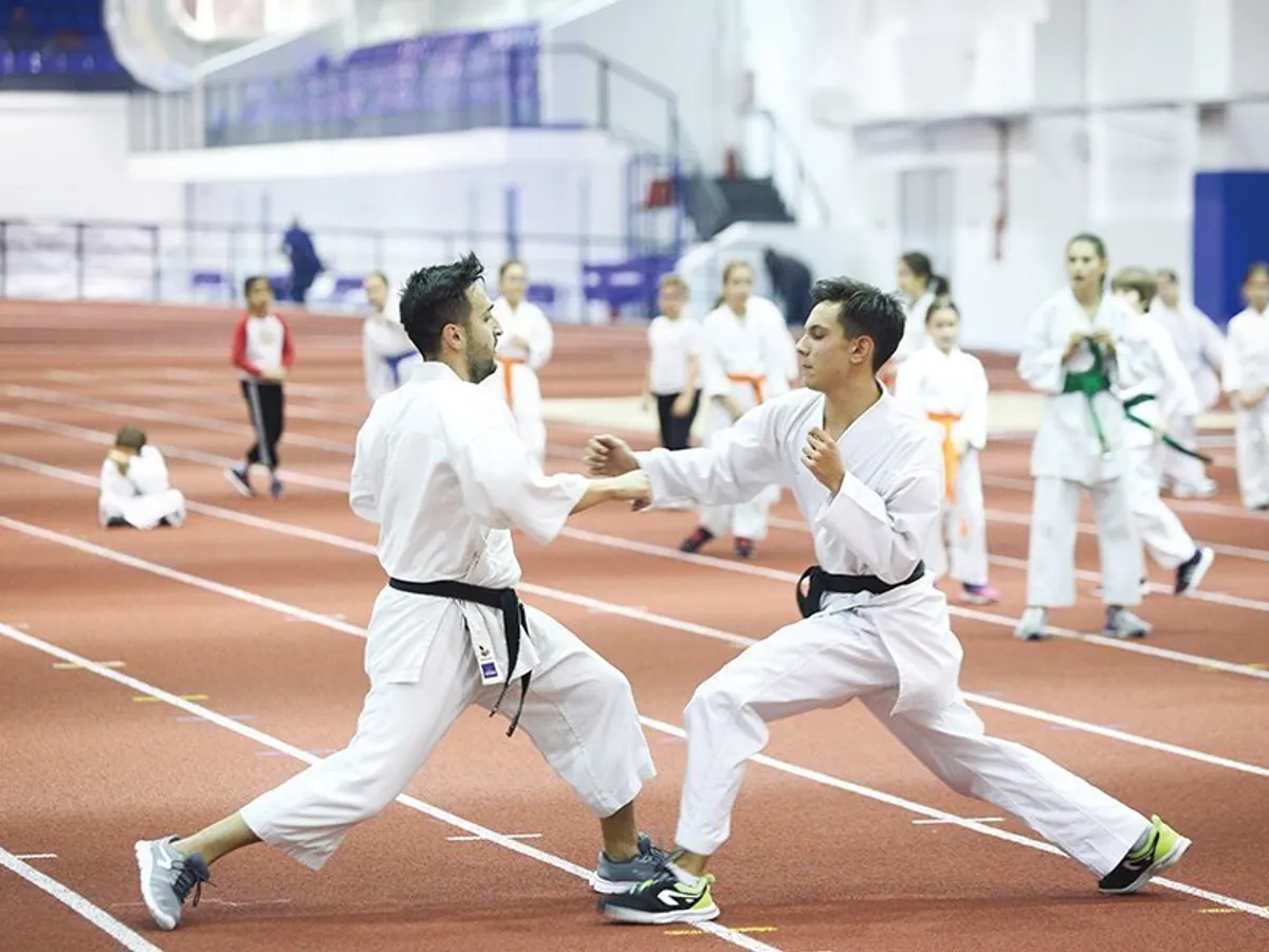 Răzvan Hengariu (stânga) și Paul Iordache (dreapta), doi dintre cei mai titrați sportivi ai României