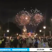 Alertă sanitară la Disneyland Shanghai. FOTO: Twitter