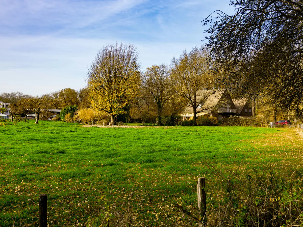 Teren Foto: Pexels (imagine cu rol ilustrativ)
