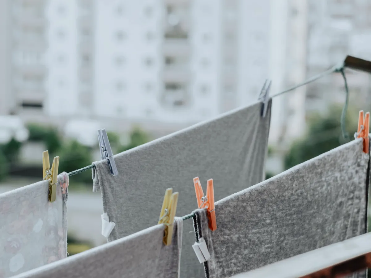Rufe la uscat Foto: Pexels (imagine cu rol ilustrativ)