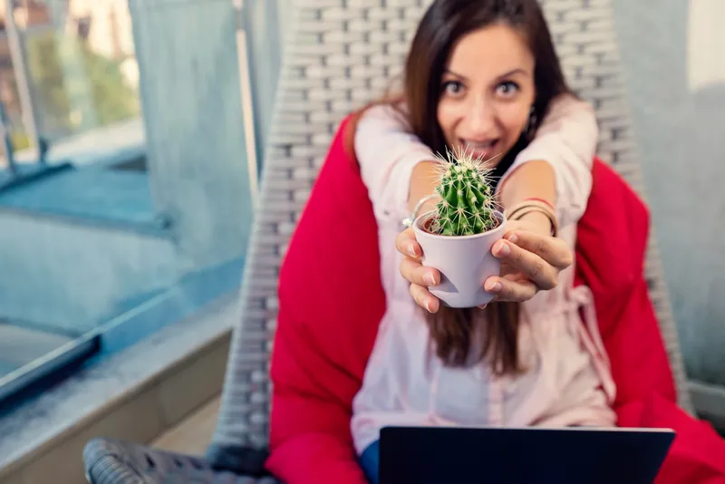 Cactus - Foto: Freepik (Imagine cu rol ilustrativ)