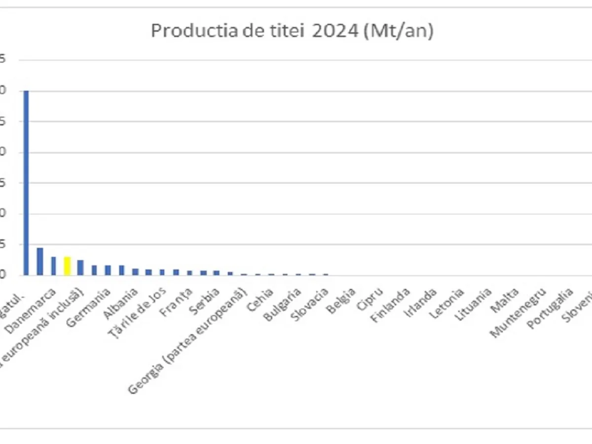 Producția de țiței - Foto: AEI