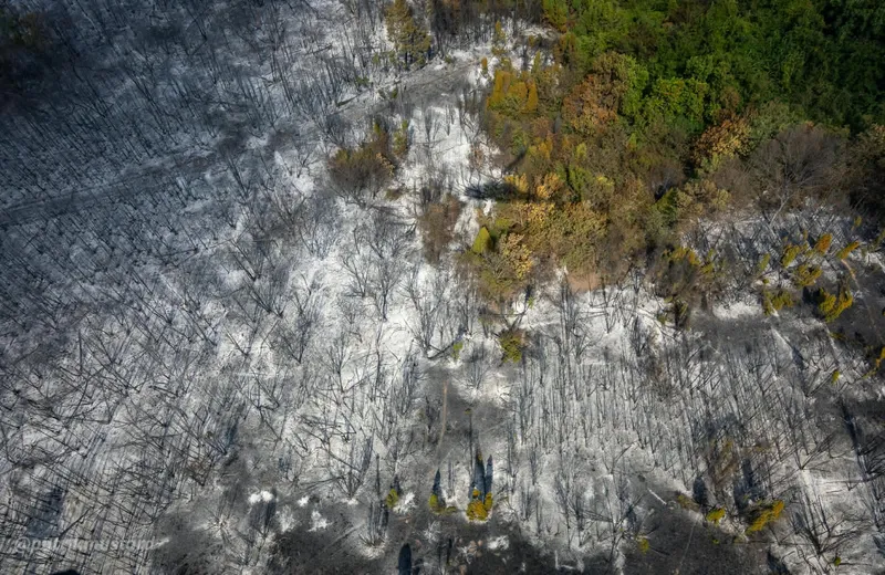 Urmele incendiilor de vegetație din Serbia - Foto: DSU