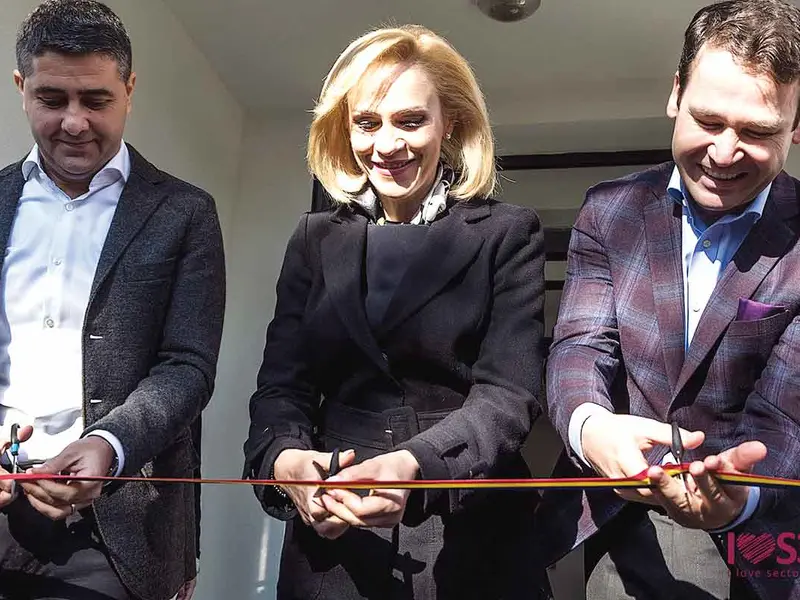 Firea nu mai e primar de 10 luni, dar 13 dintre companiile înființate de ea încă rezistă. Colegii ei din PSD care au rămas primari o duc bine merci