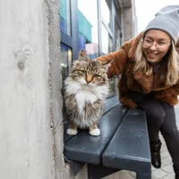 A salvat o pisică fără stăpân și a fost dat în judecată pentru furt. ”Cred că șoarecii sunt frați” - Foto: Freepik (rol ilustrativ)