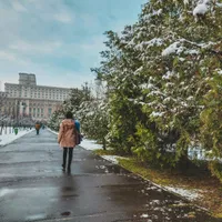 METEO de Florii, avertizare ANM de ultimă oră: condiții de iarnă – polei, vânt și îngheț la sol - FOTO: Pexels (imagine cu rol ilustrativ)