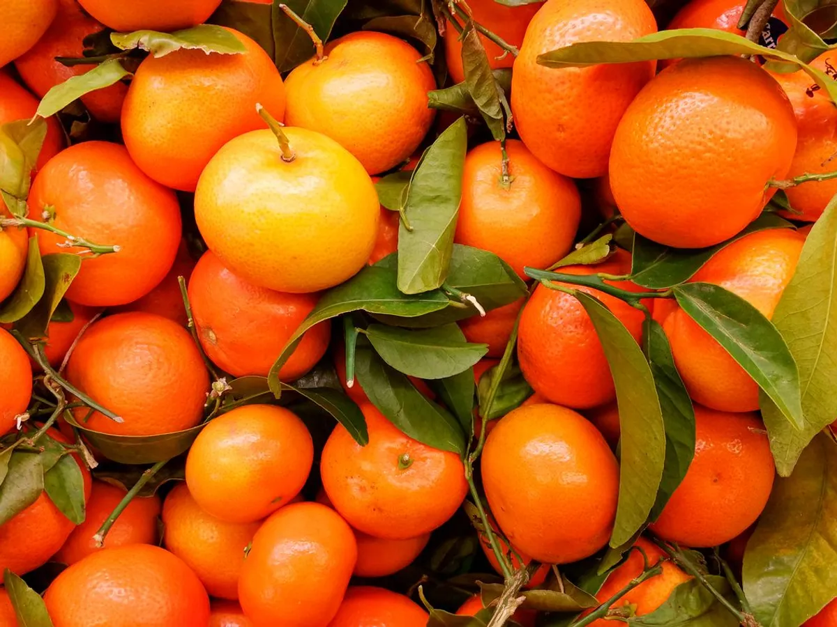 Mandarine Foto: Pexels (imagine cu rol ilsutrativ)