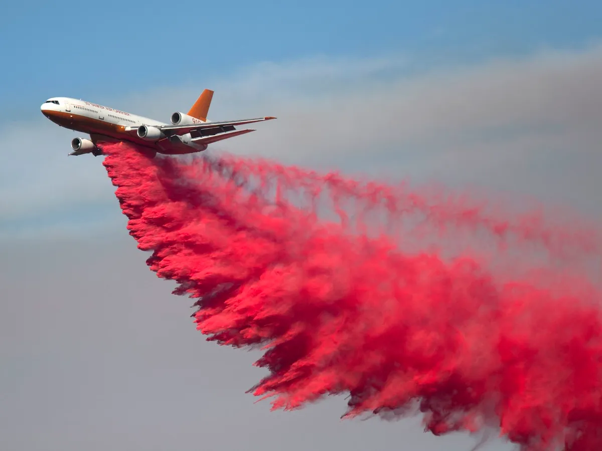 De ce își colorează germanii pădurile în roz? Culoarea are o semnificație dar puțini știu ce este - Foto: Profimedia Images