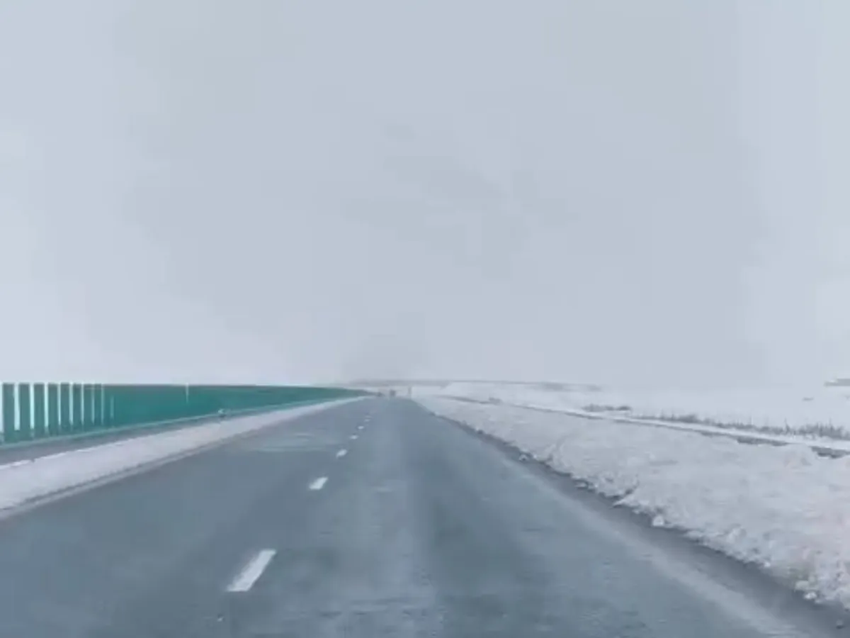 CNAIR avertizează: blocaj de 14 km pe DN5, camioane blocate la Podul Prieteniei