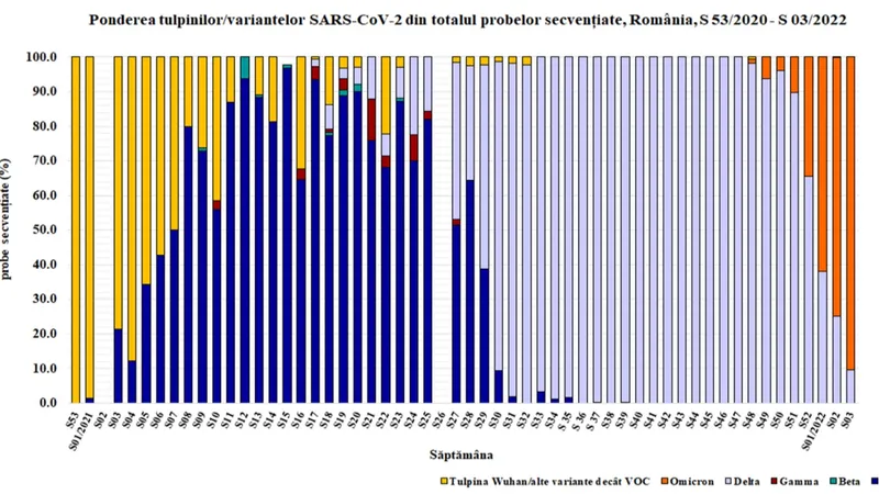 Ponderea tulpinii Omicron vs. Delta în secvențierile săptămânale. Sursa: INSP
