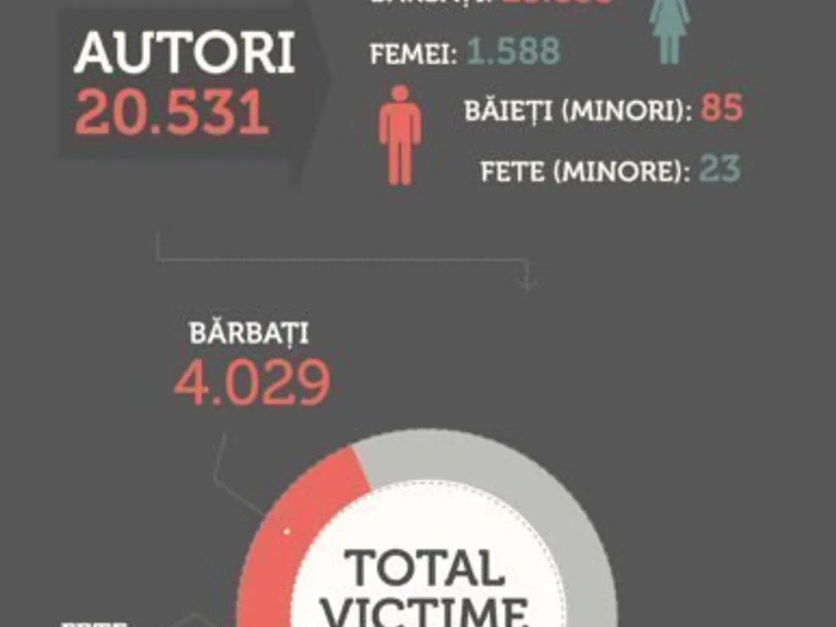 SURSA: Rețeaua pentru prevenirea și combaterea violenței împotriva femeilor