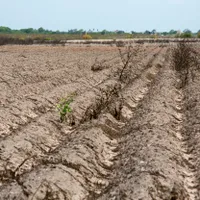 Previziuni sumbre. Regiunile mediteraneene ale UE sunt expuse riscului de secetă până în noiembrie - FOTO: Profimedia