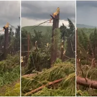 Furtună extremă, în Maramureș. O pădure de 5 hectare distrusă de vânt, zeci de case avariate - Foto: cancan.ro