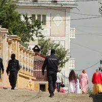 Cum a furat d-na Crenguța de la Zanea jumătate de milion de euro de la stat, cu ajutorul căruței - Foto: ZiaruldeIasi(imagine cu caracter ilustrativ)