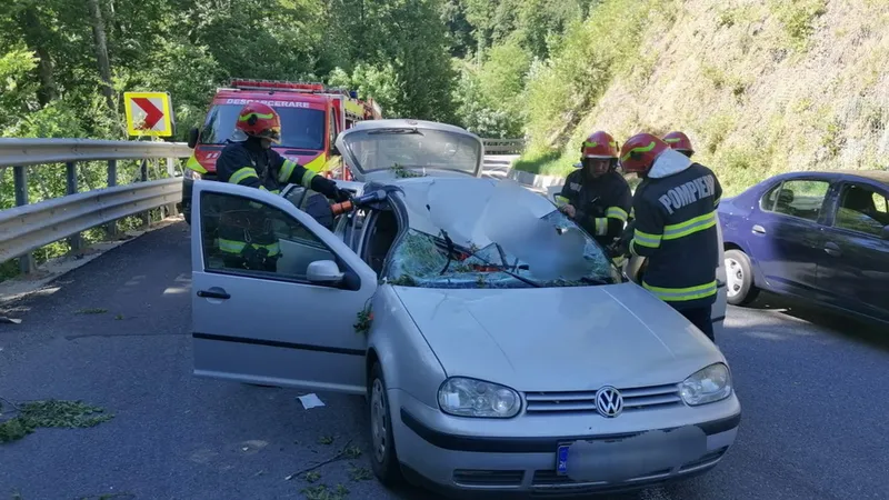 O creangă a căzut peste o mașină în mers și s-a înfipt în bazinul femeii care conducea Foto: ISU Crișana