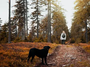 Vreme de primăvară (rol ilustrativ) - Foto: Pexels