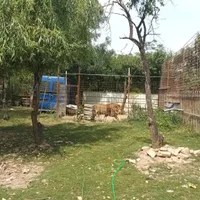 Doar în România! O grădină zoologică, cu lei, urși, maimuțe, funcționează ilegal - Foto: Facebook / Garda Naţională de Mediu