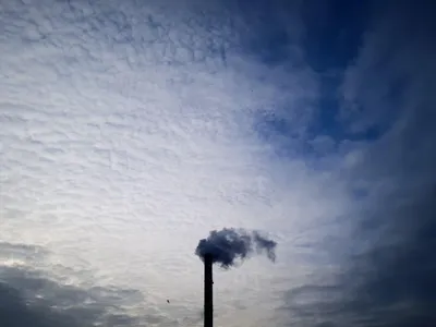 Elcen  - Foto: Profimedia Images